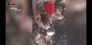 Le indagini erano scattate nel corso dell’estate: nell’assolato mese di luglio, infatti, i Carabinieri della Stazione di Gioiosa Ionica, supportati dallo Squadrone Eliportato “Cacciatori Calabria”, incuriositi da alcuni ambigui movimenti nelle campagne, avevano organizzato diverse battute nella zona