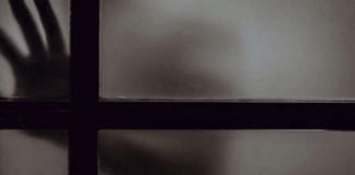 Bisognerebbe indagare i motivi che hanno determinato l’allontanamento dalla famiglia del minorenne affetto da disturbi d’attenzione e iperattività, al di là delle presunte violenze, dei presunti atti di bullismo subiti dal bimbo di San Marco Argentano all’interno di una casa famiglia di Cetraro