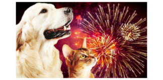 Nei giorni scorsi… il Sindaco di Messina, Federico Basile, ha rinnovato l’Ordinanza che stabilisce il Divieto assoluto di esplosione di fuochi d’artificio, petardi, mortaretti e accensione di falò durante la notte di Capodanno e nel periodo festivo natalizio, iniziato il 20 dicembre e che durerà fino al 10 gennaio