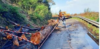 Il maltempo che nelle ore scorse si è palesato sul territorio della provincia di Messina, ha provocato numerosi disagi, in particolare lungo la rete viaria provinciale: le forti raffiche di vento, abbinate alle precipitazioni intense, hanno causato la caduta di diversi alberi sulla sede stradale, rendendo necessari interventi urgenti per garantire la sicurezza degli utenti della strada