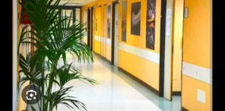 Al centro del caso un paziente affetto da un tumore alla prostata curato per due anni come disfunzione erettile, somministrando del Cialis: un maxi risarcimento di quasi un milione di euro per una diagnosi medica errata