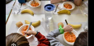 “Il partito ‘Sovranisti per l’Italia e per le Libertà’ è vicino e a sostegno delle centinaia di famiglie residenti nel comune di Fano che in questo 2026 si sono ritrovate ad un taglio delle fasce Isee da 33 a 7 da parte dei responsabili dell’Unità Operativa Servizi Educativi per i Servizi mensa, trasporto scolastico e asili nido, con decadenza in alcuni ambiti dello sconto che negli anni passati veniva riconosciuto ai nuclei familiari in presenza di 2 o più figli per ogni servizio”