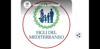 “Per i curiosi che mi leggono e hanno bisogno di scrivere teoremi avendo un consenso tra il popolo ai minimi termini: L’Associazione Figli del Mediterraneo è un’Associazione di genitori ai quali lo stato ha sottratto i figli minori, quasi sempre ingiustamente”