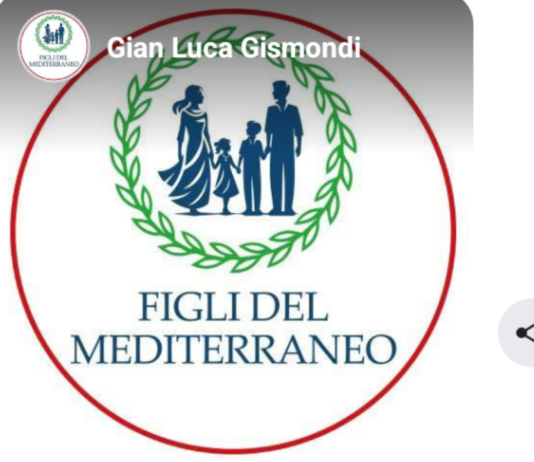 “Per i curiosi che mi leggono e hanno bisogno di scrivere teoremi avendo un consenso tra il popolo ai minimi termini: L’Associazione Figli del Mediterraneo è un’Associazione di genitori ai quali lo stato ha sottratto i figli minori, quasi sempre ingiustamente”