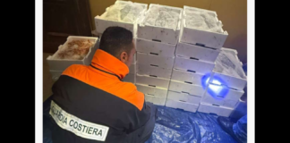 Nella giornata di ieri, 3 febbraio 2026, il personale della Guardia Costiera di Messina ha condotto un’operazione di controllo lungo il litorale e nei principali punti di sbarco, che ha portato al sequestro di circa 200 chilogrammi di novellame di sarda: il prodotto ittico è risultato detenuto in violazione della normativa vigente, che vieta la cattura, la detenzione e la commercializzazione del novellame