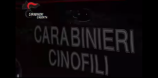 Nel corso della mattinata odierna, in Mondragone (CE), i carabinieri del locale Reparto Territoriale hanno dato esecuzione a una ordinanza di applicazione di misura cautelare personale, emessa dal GIP del Tribunale di Napoli su richiesta dei componenti di questa Direzione Distrettuale Antimafia, nei confronti di 21 persone (13 in carcere, 5 agli arresti domiciliari e 3 all’obbligo di presentazione alla P.G.), ritenute responsabili, a vario titolo, di “associazione per delinquere di stampo camorristico”, “estorsione”, “incendio”, “detenzione e porto di armi”, “associazione finalizzata al traffico e spaccio di sostanze stupefacenti”, “ricettazione”, “minaccia e lesioni personali”