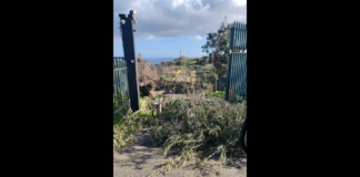 “Abbiamo aspettato qualche giorno prima di scrivere: Ci serviva silenzio per raccogliere i cocci, non solo quelli materiali, ma anche quelli del nostro cuore… la natura è stata spietata… prima il ciclone Harry ha minato le nostre fondamenta; poi, la furia dell’ultima tempesta ci ha dato il colpo di grazia”