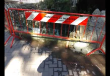 Ecco la odierna situazione esistente a Messina, nella Vasca dei pesci rossi e delle tartarughe situata alla villa Mazzini