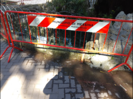 Ecco la odierna situazione esistente a Messina, nella Vasca dei pesci rossi e delle tartarughe situata alla villa Mazzini