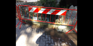 Ecco la odierna situazione esistente a Messina, nella Vasca dei pesci rossi e delle tartarughe situata alla villa Mazzini