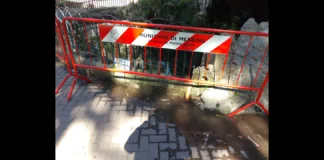 Ecco la odierna situazione esistente a Messina, nella Vasca dei pesci rossi e delle tartarughe situata alla villa Mazzini