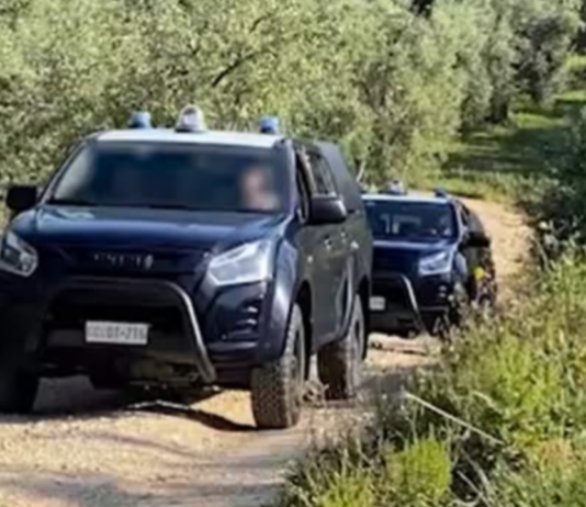 Proseguono le indagini dei carabinieri per fare luce su un omicidio avvenuto ieri nel Catanese, dove il cadavere di un 66enne, Giuseppe Florio, un incensurato originario di Giardini Naxos (Messina) è stato trovato in una zona di campagna di Mitogio, frazione di Castiglione di Sicilia