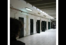 «Una sovrintendente della polizia penitenziaria, in servizio come preposta nella casa circondariale di Messina, ieri, è stata brutalmente aggredita mentre tentava di soccorrere un collega sotto assedio: Il detenuto, di origine calabrese, noto per la sua intemperanza, ha dato sfogo a una furia inaudita fatta di spinte, calci e sputi al volto, colpendo violentemente la sovrintendente all’avambraccio e alla spalla»