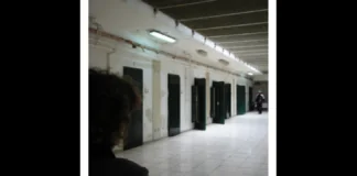 «Una sovrintendente della polizia penitenziaria, in servizio come preposta nella casa circondariale di Messina, ieri, è stata brutalmente aggredita mentre tentava di soccorrere un collega sotto assedio: Il detenuto, di origine calabrese, noto per la sua intemperanza, ha dato sfogo a una furia inaudita fatta di spinte, calci e sputi al volto, colpendo violentemente la sovrintendente all’avambraccio e alla spalla»
