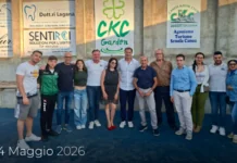Dopo la partecipazione del campione olimpico Giovanni De Gennaro nella passata edizione, anche nel 2026 il mondo della canoa torna protagonista alla Traversata dello Stretto di Messina, l’evento dedicato allo sport, all’inclusione e alla cultura del mare in programma lunedì 25 maggio e trasmesso in diretta su Rai1