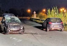 Nella serata di ieri, si è verificato un insolito incidente stradale sull’asse viario di Milazzo, all’altezza del chilometro 1,800: intorno alle 21, un’Alfa Romeo 147, con a bordo quattro giovani, ha investito un gabbiano che si trovava sulla carreggiata