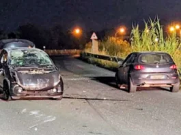 Nella serata di ieri, si è verificato un insolito incidente stradale sull’asse viario di Milazzo, all’altezza del chilometro 1,800: intorno alle 21, un’Alfa Romeo 147, con a bordo quattro giovani, ha investito un gabbiano che si trovava sulla carreggiata