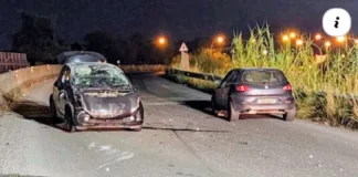 Nella serata di ieri, si è verificato un insolito incidente stradale sull’asse viario di Milazzo, all’altezza del chilometro 1,800: intorno alle 21, un’Alfa Romeo 147, con a bordo quattro giovani, ha investito un gabbiano che si trovava sulla carreggiata
