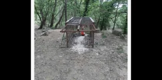 Prosegue l’attività di contrasto al bracconaggio condotta dalla Polizia Metropolitana di Messina nelle aree naturalistiche del territorio