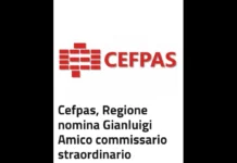 Gianluigi Amico, dirigente della Regione Siciliana e attuale segretario della giunta regionale, è stato nominato commissario straordinario del Cefpas, il Centro per la formazione permanente e l’aggiornamento del personale del servizio sanitario con sede a Caltanissetta